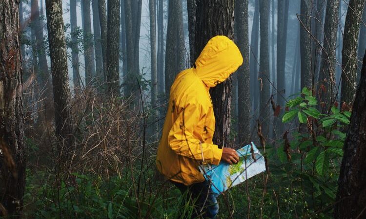 Lost in the Wild? How to Navigate Using Nature